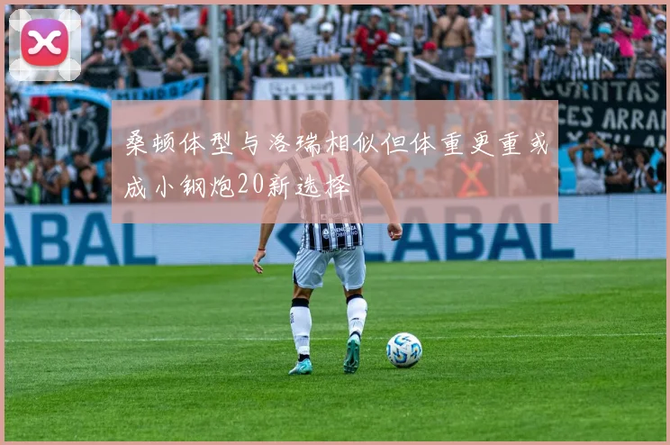 桑顿体型与洛瑞相似但体重更重或成小钢炮20新选择